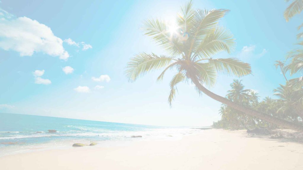 Tropical beach with palm trees